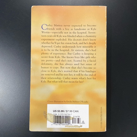 I’ll Be Seeing You by Lurlene McDaniel - Paperback Novel - Picture 2 of 10